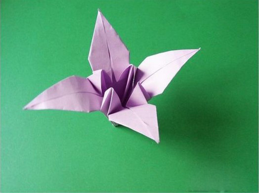  折纸教学 百合花的折法