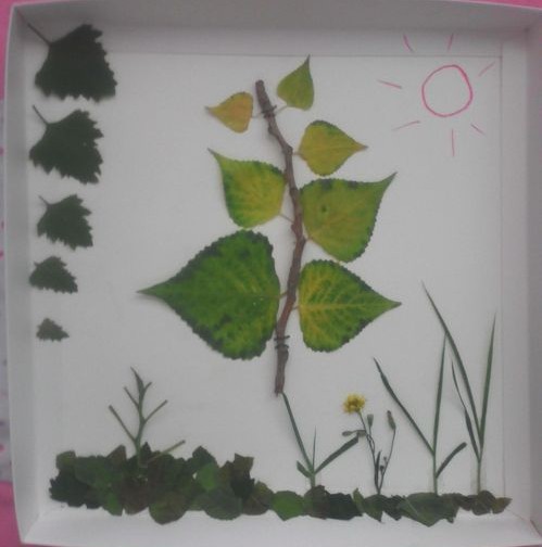 幼儿树叶贴画-小森林的制作步骤