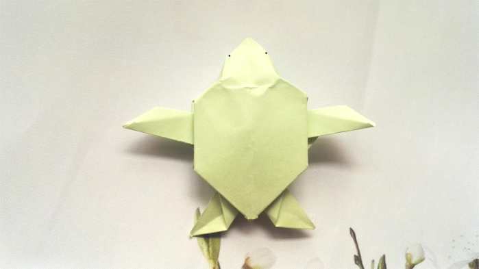 教大家做一款简单的折纸乌龟