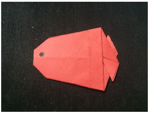 儿童简单折纸 热带鱼的折法