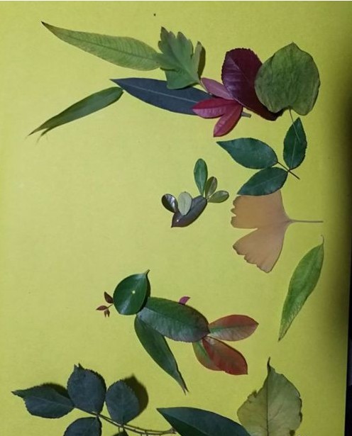 树叶贴画怎么制作 花鸟图