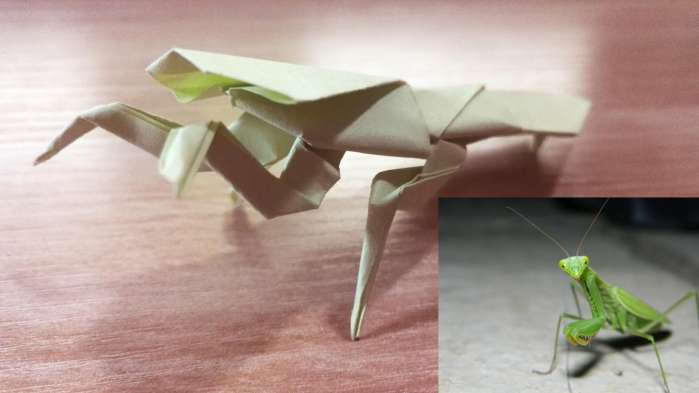 手工折纸教程 教你用两张纸折出草丛里的王者螳螂