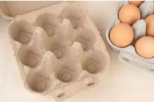 幼儿手工分享 神奇的鸡蛋托手工制作