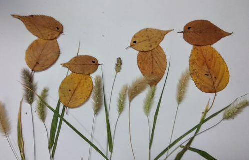 树叶贴画教程 用树叶粘贴简单的小鸟