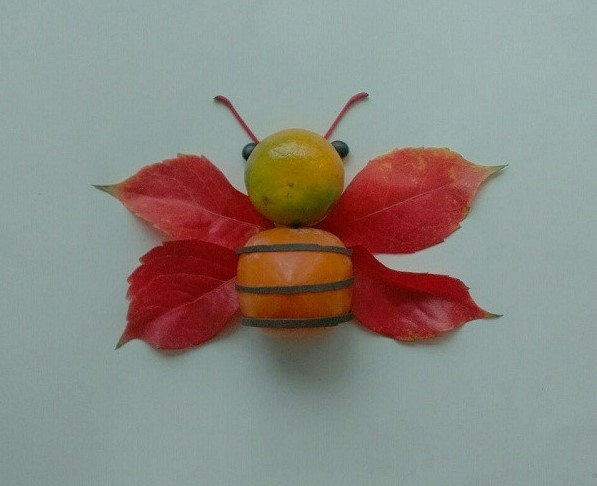 教你用水果和树叶制作简单漂亮的小昆虫拼贴画