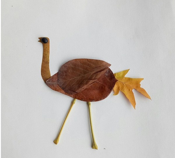 教你用树叶制作幼儿手工DIY可爱的鸵鸟拼贴画