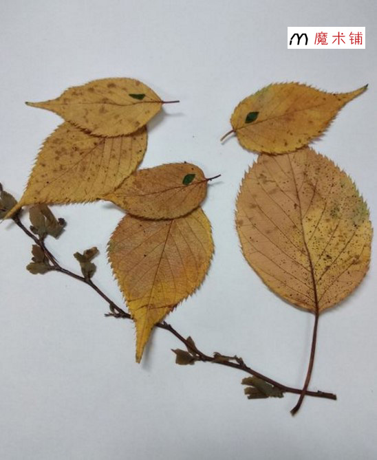 简单树叶贴画步骤 用树叶粘出三只小鸟