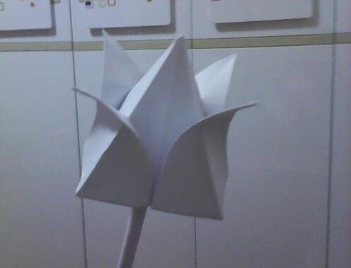 手工折纸教程 四瓣花怎么折