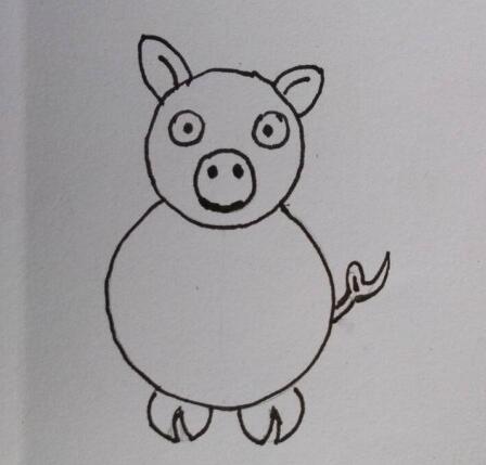 小猪简笔画 怎么画小猪