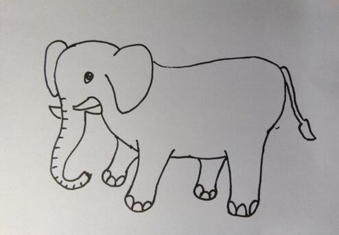 大象画法教程 简笔画大象怎么画