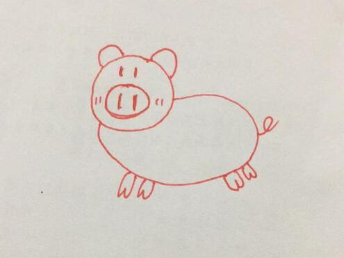 小猪简笔画 可爱的小猪怎么画