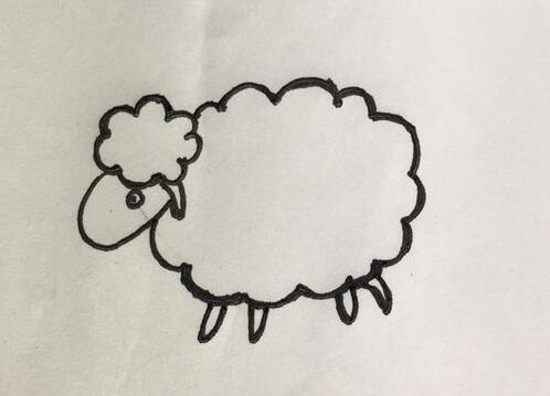 小绵羊简笔画 小绵羊怎么画
