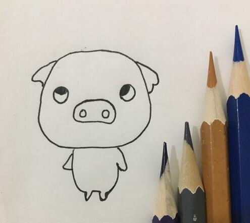 小猪简笔画教程 教你如何画小猪
