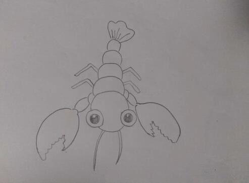 龙虾简笔画 可爱的龙虾怎么画