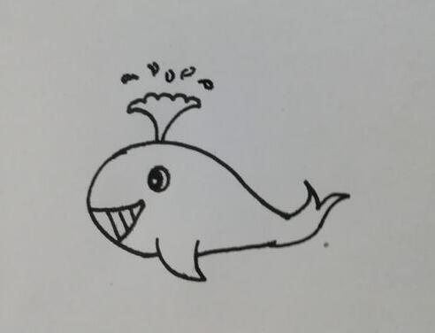 怎么画可爱的鲸鱼 简笔画鲸鱼的画法