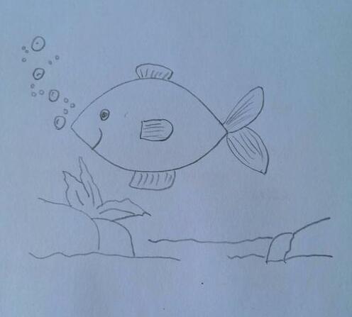 鱼的简笔画 可爱的小鱼怎么画