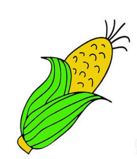 玉米棒简笔画教程