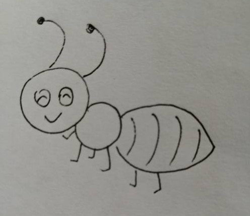 可爱的小蚂蚁怎么画 蚂蚁的画法