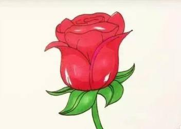 一个简笔画 玫瑰花画法
