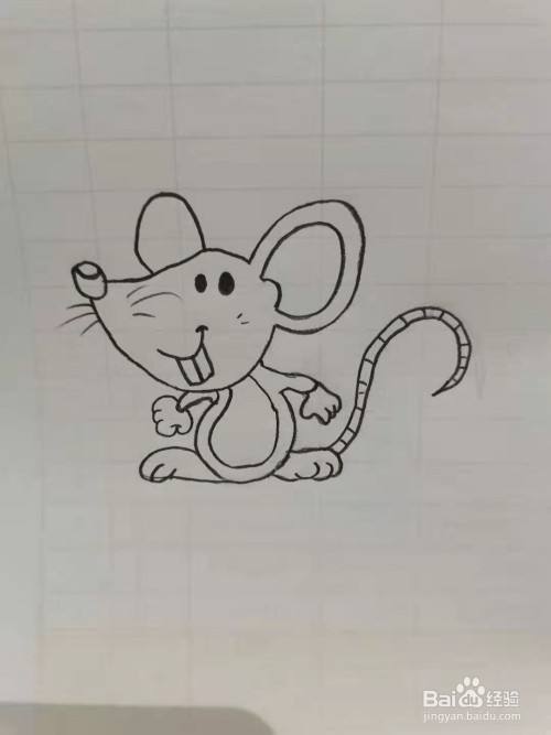 老鼠怎么画(老鼠卡通图片)