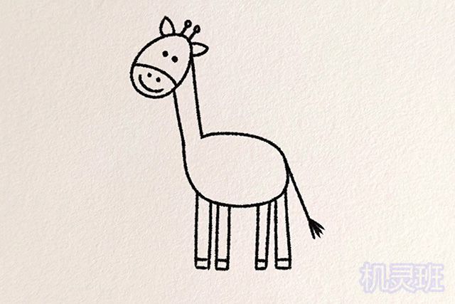 怎么一步一步教孩子画长颈鹿简笔画(步骤图解)6