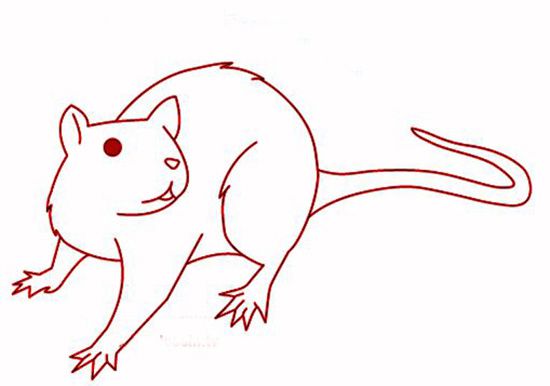 教小孩子画可爱小老鼠