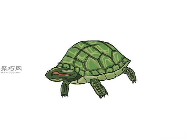 画绿色的乌龟画法教程 8