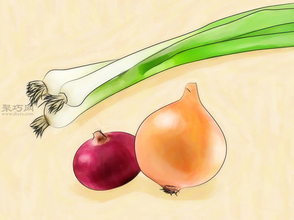 如何从种子或球茎种植葱 教你种植大葱的方法