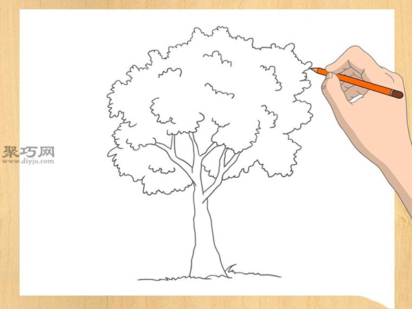 一棵树的画法 教你怎么画树
