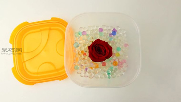 用硅胶粒吸干玫瑰花干方法 一起学玫瑰花干如何做