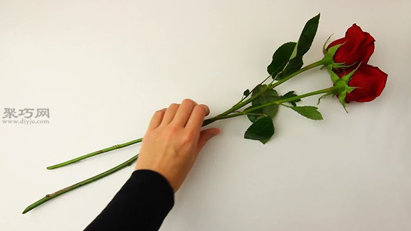 手工制作悬挂晾干玫瑰花干图片教程 教你玫瑰花干怎么做