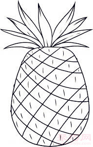 幼儿简笔画菠萝的画法 教你如何画菠萝简笔画