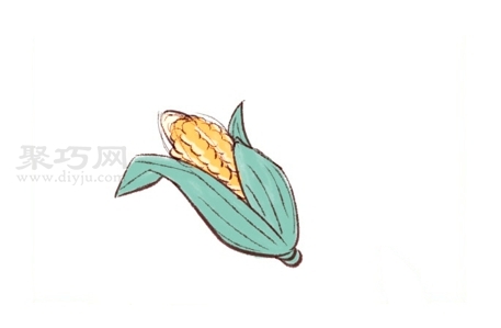 美味的玉米画法步骤 来学美味的玉米简笔画