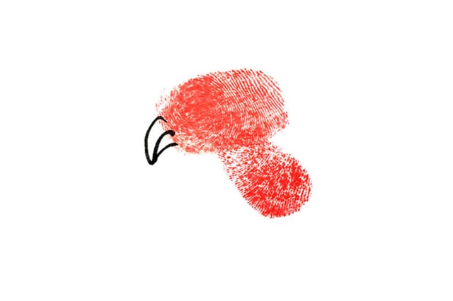 手指画简单的鹦鹉怎么画