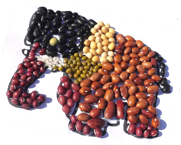 儿童豆子粘贴画作品欣赏 用豆子DIY创意粘贴逼真的大象