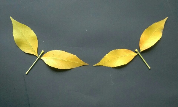 儿童叶子手工制作，用金黄的树叶来粘贴制作漂亮的蝴蝶树叶拼贴画