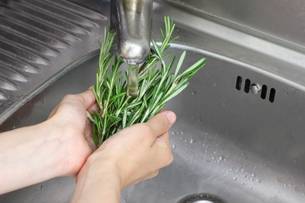 食物脱水机法迷迭香干花步骤 来看如何DIY迷迭香干花