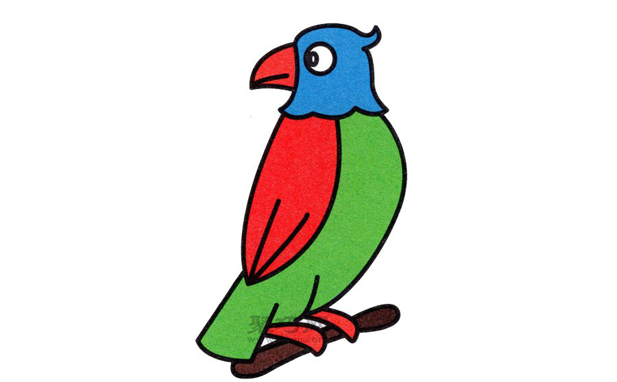 鸟类表演艺术家尖嘴鹦鹉怎么画简笔画最漂亮