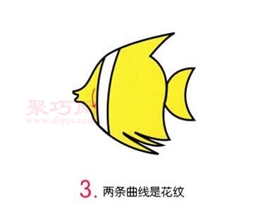 热带鱼画法第3步