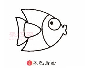 热带鱼画法第4步