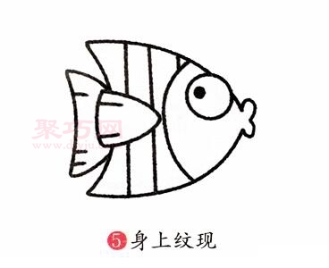 热带鱼画法第5步