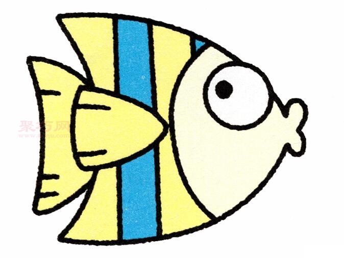 热带鱼画法第7步