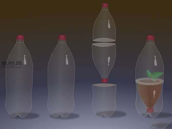 用瓶瓶罐罐来制作迷你温室教程 教你怎么DIY迷你温室