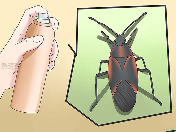 怎么用化学杀虫剂杀臭虫 教你清除室外的臭虫的方法