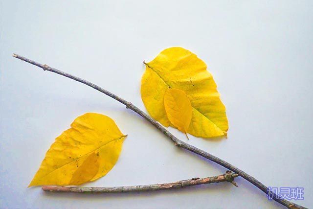 秋天的树叶创意手工，简单的儿童树叶粘贴画小鸟3